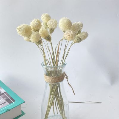 15Pcs Dried Small Pampas Grass Flowers Artificial Plants for Decoration Real Plants Home Decor Wedding Decoration White no vase 15Pcs