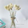 15Pcs Dried Small Pampas Grass Flowers Artificial Plants for Decoration Real Plants Home Decor Wedding Decoration White no vase 15Pcs view 1