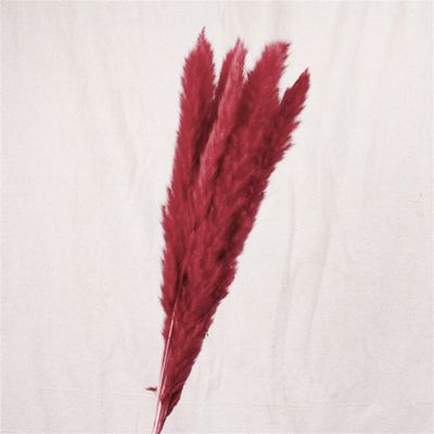 15Pcs Dried Small Pampas Grass Flowers Artificial Plants for Decoration Real Plants Home Decor Wedding Decoration Burgundy 15Pcs