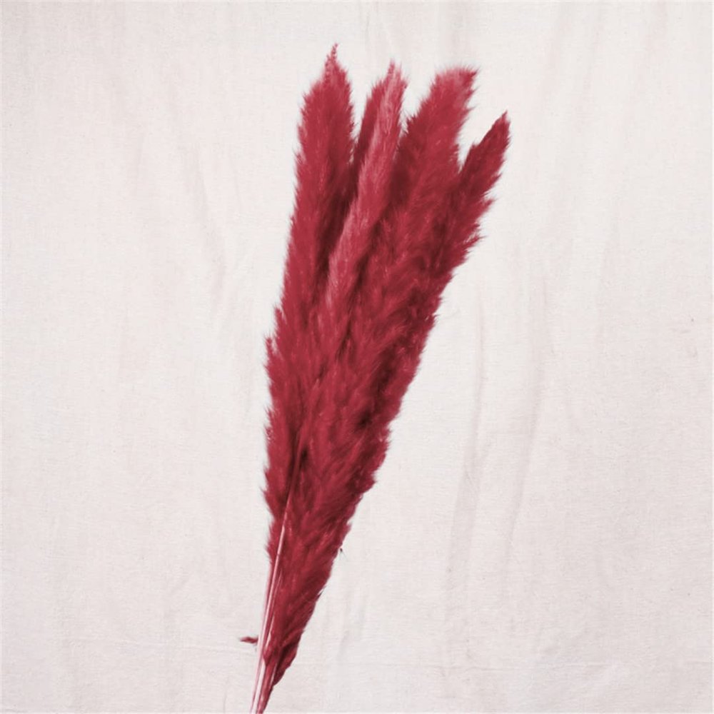 15Pcs Dried Small Pampas Grass Flowers Artificial Plants for Decoration Real Plants Home Decor Wedding Decoration Burgundy 15Pcs