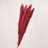 15Pcs Dried Small Pampas Grass Flowers Artificial Plants for Decoration Real Plants Home Decor Wedding Decoration Burgundy 15Pcs view 1
