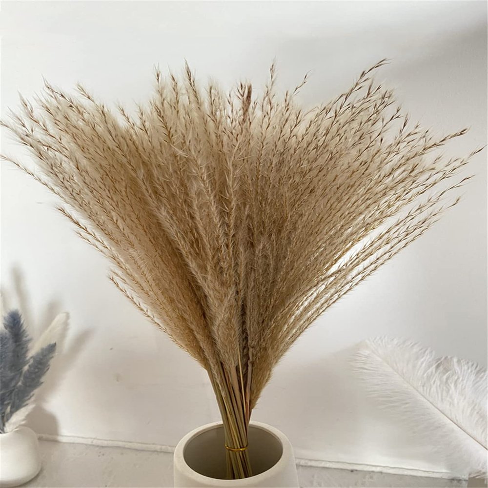 15Pcs Dried Small Pampas Grass Flowers Artificial Plants for Decoration Real Plants Home Decor Wedding Decoration Primary 1 15Pcs
