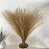 15Pcs Dried Small Pampas Grass Flowers Artificial Plants for Decoration Real Plants Home Decor Wedding Decoration Primary 1 15Pcs view 1