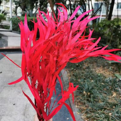 60G/30-40Cm,Natural Preserved Eucalyptus Leaves Bouquet,Eternal Display Arrange Flowers for Wedding Home Decoration Accessories red