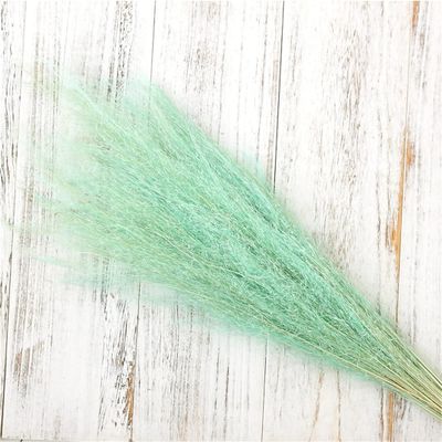 50Pcs/Bouquet,Dry Flowers Natural Preserved Flowers,Real Eternal Plant Grass for Wedding Party Home Table Decoration Accessories Tiffany 1 Bouquet 50pcs