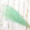 50Pcs/Bouquet,Dry Flowers Natural Preserved Flowers,Real Eternal Plant Grass for Wedding Party Home Table Decoration Accessories Tiffany 1 Bouquet 50pcs view 1