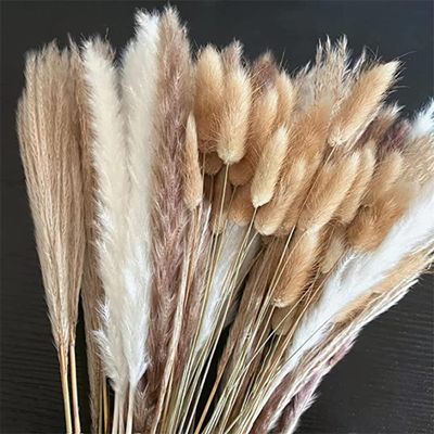 100Pcs/Lot Pampas Set Decoration Fluffy Natural Living Room Decoration Tall Pampas Grass Dried Flowers Bouquet Boho Home Decor 100 Stems About 55cm(No Vase)