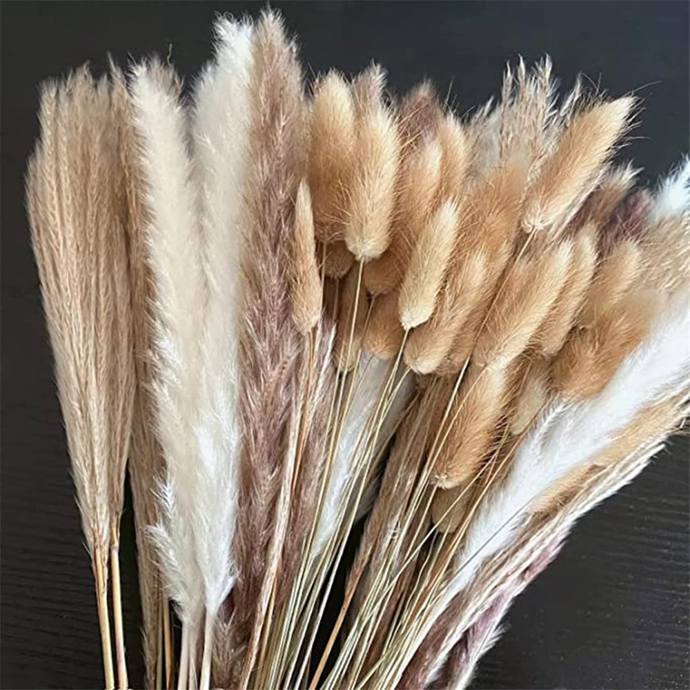 100Pcs/Lot Pampas Set Decoration Fluffy Natural Living Room Decoration Tall Pampas Grass Dried Flowers Bouquet Boho Home Decor 100 Stems About 55cm(No Vase)