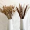 100Pcs/Lot Pampas Set Decoration Fluffy Natural Living Room Decoration Tall Pampas Grass Dried Flowers Bouquet Boho Home Decor 100 Stems About 55cm(No Vase) view 3