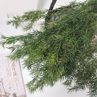 1 Bouquet Real Dried Natural Preserved Flowers Bouquet,Decorative Eternal Grass for Home Decoration Green one bouqurt no vase