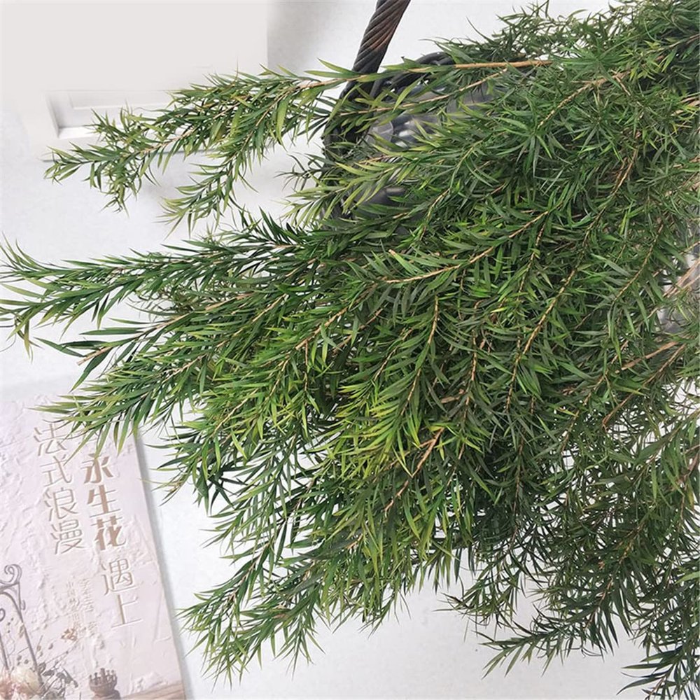 1 Bouquet Real Dried Natural Preserved Flowers Bouquet,Decorative Eternal Grass for Home Decoration Green one bouqurt no vase