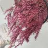 1 Bouquet Real Dried Natural Preserved Flowers Bouquet,Decorative Eternal Grass for Home Decoration Green one bouqurt no vase view 4