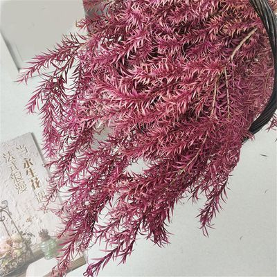 1 Bouquet Real Dried Natural Preserved Flowers Bouquet,Decorative Eternal Grass for Home Decoration Rosy one bouqurt no vase