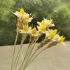 10Pcs/30Cm,Dried Craft Wheat and Natural Plant Flower Bunches,DIY Display Flowers for Wedding Party Home Arrangement Decoration 1 view 1
