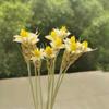 10Pcs/30Cm,Dried Craft Wheat and Natural Plant Flower Bunches,DIY Display Flowers for Wedding Party Home Arrangement Decoration 1 view 4