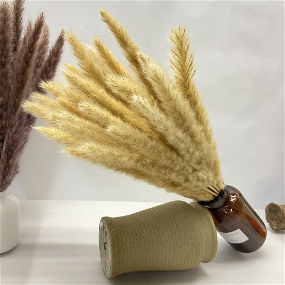 15Pcs Dried Small Pampas Grass Flowers Artificial Plants for Decoration Real Plants Home Decor Wedding Decoration Style 2 15Pcs