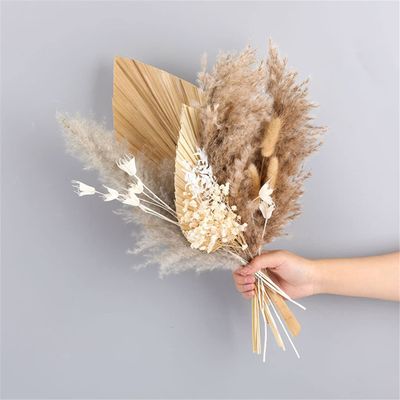 1 Set Wedding Flower Phragmites Reed Rabbit Tail Dried Flower Natural Pampas Grass Decor Christmas Home Living Room Decoration E 35-40cm No Vase