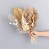 1 Set Wedding Flower Phragmites Reed Rabbit Tail Dried Flower Natural Pampas Grass Decor Christmas Home Living Room Decoration E 35-40cm No Vase view 1