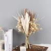 1 Set Wedding Flower Phragmites Reed Rabbit Tail Dried Flower Natural Pampas Grass Decor Christmas Home Living Room Decoration E 35-40cm No Vase view 3