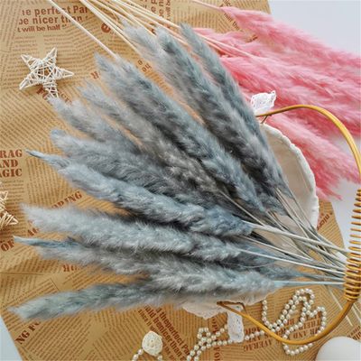15Pcs Dried Small Pampas Grass Flowers Artificial Plants for Decoration Real Plants Home Decor Wedding Decoration Gray Reed 15Pcs