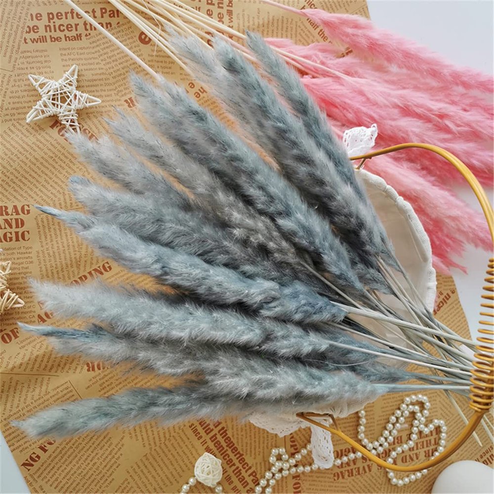 15Pcs Dried Small Pampas Grass Flowers Artificial Plants for Decoration Real Plants Home Decor Wedding Decoration Gray Reed 15Pcs