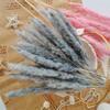 15Pcs Dried Small Pampas Grass Flowers Artificial Plants for Decoration Real Plants Home Decor Wedding Decoration Gray Reed 15Pcs view 1