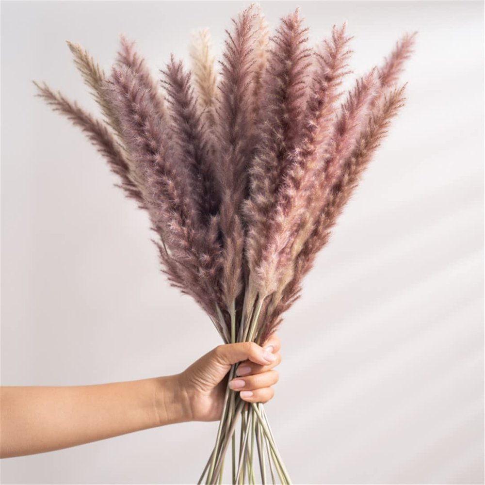 30PCS Real Reed Small Pampas Grass Wedding Bunch Natural Home Decor Dried Flowers Phragmites Ornamental Bulrush Flo C no vase
