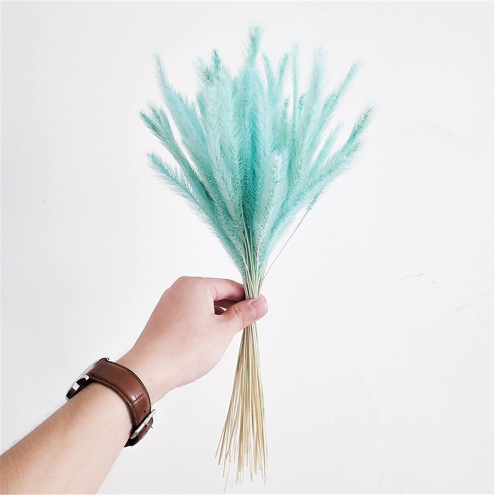 50Pcs Natural Dried Flowers Bouquet Wedding Party Home Easter Room Table Decorations Dog's Tail Grass Dry Pampas Grass Decor Tiffany 50pcs no vase