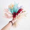 50Pcs Natural Dried Flowers Bouquet Wedding Party Home Easter Room Table Decorations Dog's Tail Grass Dry Pampas Grass Decor Tiffany 50pcs no vase view 2