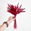 50Pcs Natural Dried Flowers Bouquet Wedding Party Home Easter Room Table Decorations Dog's Tail Grass Dry Pampas Grass Decor Tiffany 50pcs no vase view 3
