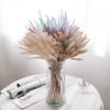 50Pcs Natural Dried Flowers Bouquet Wedding Party Home Easter Room Table Decorations Dog's Tail Grass Dry Pampas Grass Decor Tiffany 50pcs no vase view 4