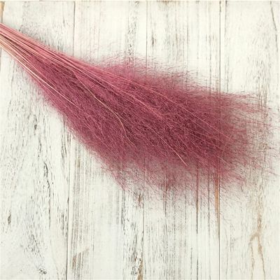 50Pcs/Bouquet,Dry Flowers Natural Preserved Flowers,Real Eternal Plant Grass for Wedding Party Home Table Decoration Accessories Burgundy 1 Bouquet 50pcs