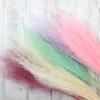 50Pcs/Bouquet,Dry Flowers Natural Preserved Flowers,Real Eternal Plant Grass for Wedding Party Home Table Decoration Accessories Burgundy 1 Bouquet 50pcs view 2
