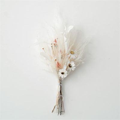 1 Set Natural Pampas Grass Decor Dried Flower Reed Plants Wedding Flower Bouquet Natural Phragmites Christmas Home Room Decor A 35-40cm No Vase