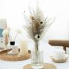 1 Set Natural Pampas Grass Decor Dried Flower Reed Plants Wedding Flower Bouquet Natural Phragmites Christmas Home Room Decor A 35-40cm No Vase view 3