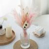 1 Set Natural Pampas Grass Decor Dried Flower Reed Plants Wedding Flower Bouquet Natural Phragmites Christmas Home Room Decor A 35-40cm No Vase view 4
