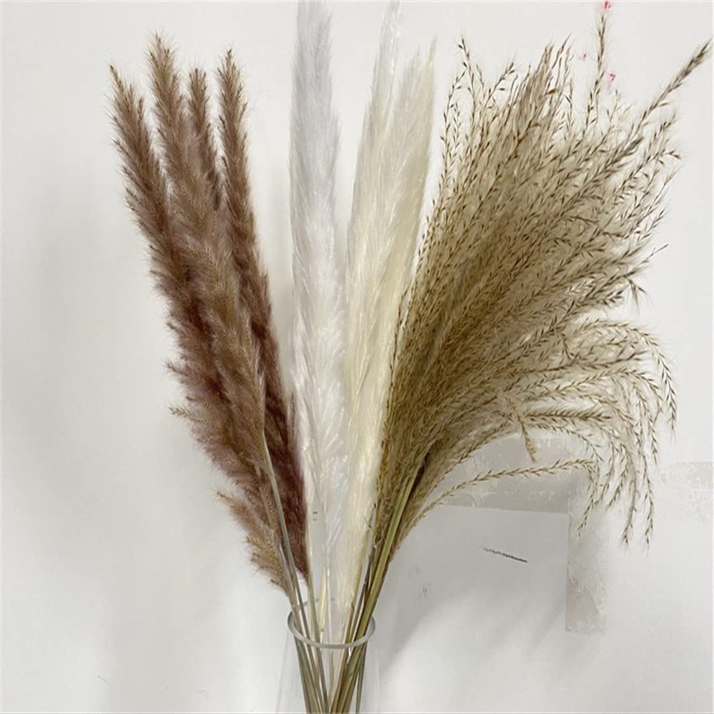 15Pcs Dried Small Pampas Grass Flowers Artificial Plants for Decoration Real Plants Home Decor Wedding Decoration Mix 15Pcs