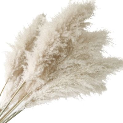 80Cm 10Stems Pampas Grass Boho Style Decoration Fluffy Dried Flower Decoration Wedding Arrangement Natural Dried Flowers Beige Color 5 Pcs