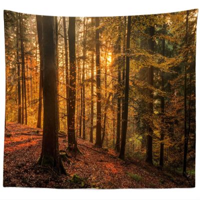 BELECO Fall Forest Tapestry Wall Hanging 80x60 Inch Autumn Sunset Scenery Trees Maple Leaves Nature Tapestry Dark Mountain Forest Landscape Tapestries Art Wall Decor for Bedroom Living Room Dorm