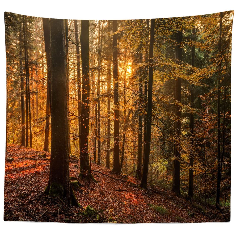 BELECO Fall Forest Tapestry Wall Hanging 80x60 Inch Autumn Sunset Scenery Trees Maple Leaves Nature Tapestry Dark Mountain Forest Landscape Tapestries Art Wall Decor for Bedroom Living Room Dorm