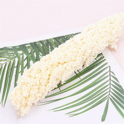 2Pcs Natural Dried Flowers Preserved Sorghum Bouquet,Eternelle Display Flowers Wedding Home Party Decoration Accessories 1 White 2pcs no vase