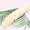 2Pcs Natural Dried Flowers Preserved Sorghum Bouquet,Eternelle Display Flowers Wedding Home Party Decoration Accessories 1 White 2pcs no vase view 1