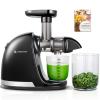 Cold Press Juicer Machines, AMZCHEF Slow Masticating Juicer with Reverse Function, High Juice Yield, Easy Clean with Brush, Recipes for High Nutrient Fruits and Vegetables, Black(Updated) view 1