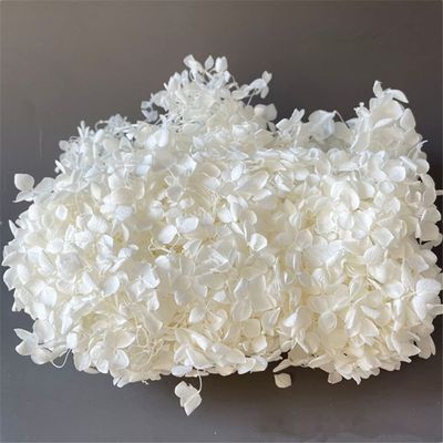15Pcs Dried Small Pampas Grass Flowers Artificial Plants for Decoration Real Plants Home Decor Wedding Decoration 5g Style 1 15Pcs