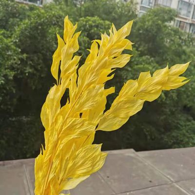 5Pcs/40Cm,Natural Preserved Orange Leaf Bouquet,Display Eternell Dracaena Flowers Branch for Wedding Party Home Decoration Yellow