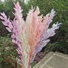 5Pcs/40Cm,Natural Preserved Orange Leaf Bouquet,Display Eternell Dracaena Flowers Branch for Wedding Party Home Decoration Yellow view 2