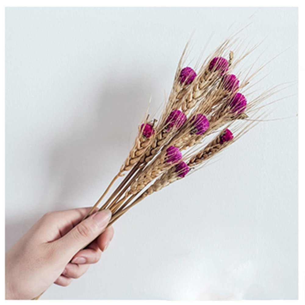 10Pcs Real Natural Dried Wheat Wedding Flower Bouquet Table Decoration Handmade Dry Flower Grain Wheat Ears Home Decor Style2 10pcs no vase
