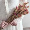 10Pcs Real Natural Dried Wheat Wedding Flower Bouquet Table Decoration Handmade Dry Flower Grain Wheat Ears Home Decor Style2 10pcs no vase view 2
