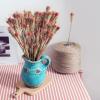 10Pcs Real Natural Dried Wheat Wedding Flower Bouquet Table Decoration Handmade Dry Flower Grain Wheat Ears Home Decor Style2 10pcs no vase view 4