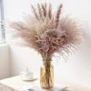 30PCS Real Reed Small Pampas Grass Wedding Bunch Natural Home Decor Dried Flowers Phragmites Ornamental Bulrush Flo B no vase Brown view 2